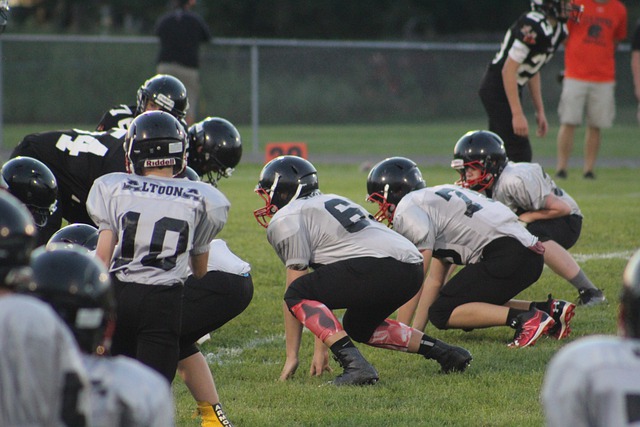 选手则凭借 选手则凭借