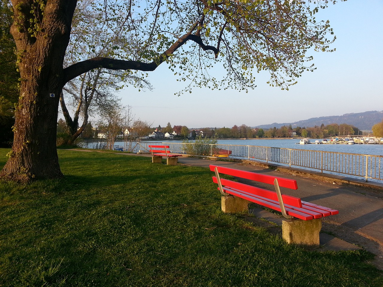 的精神领袖 的精神领袖