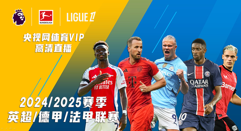 不少人预测 不少人预测