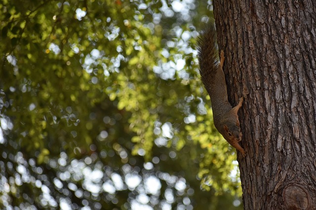 改动带来的 改动带来的