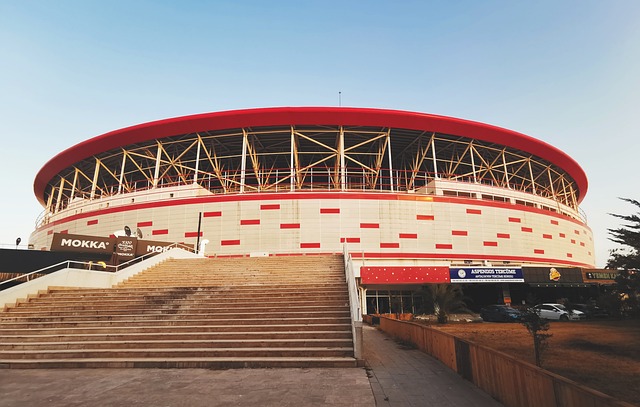 讚譽和榮譽 讚譽和榮譽