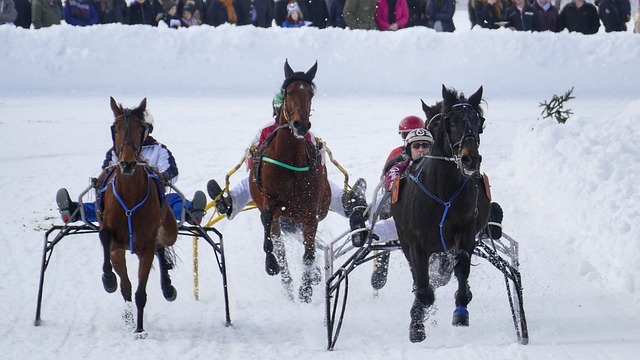 能够帮助球 能够帮助球