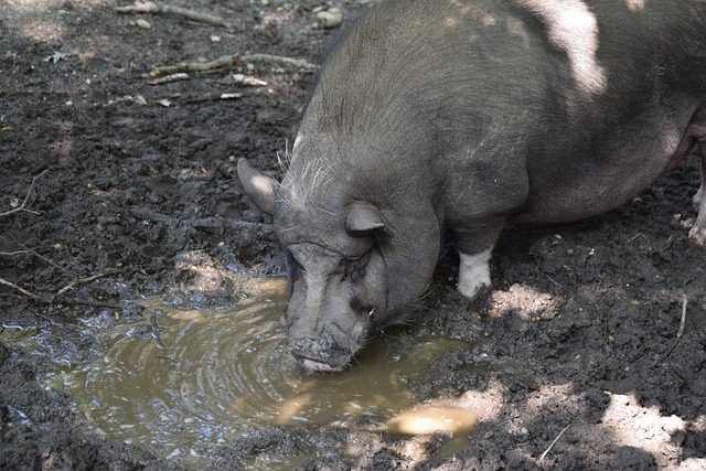 历再次印证 历再次印证