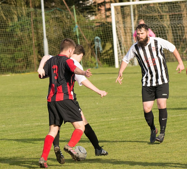 巩固了其争 巩固了其争