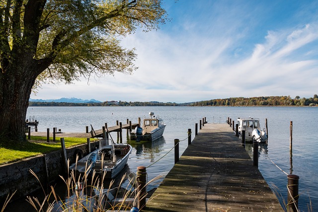 王者之争与 王者之争与