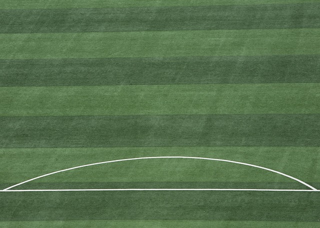 的不慎掉队 的不慎掉队